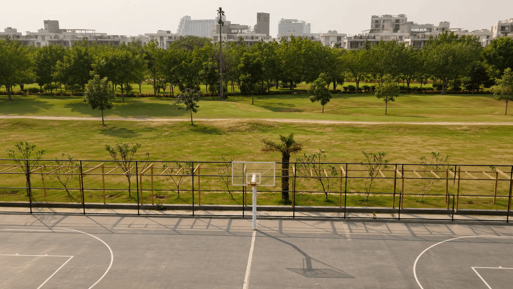 Basketball Court