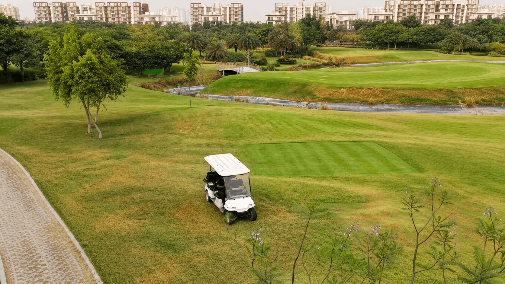 Golf Course View